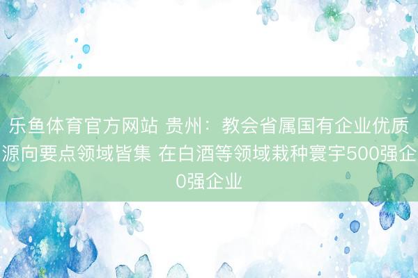 乐鱼体育官方网站 贵州：教会省属国有企业优质资源向要点领域皆集 在白酒等领域栽种寰宇500强企业